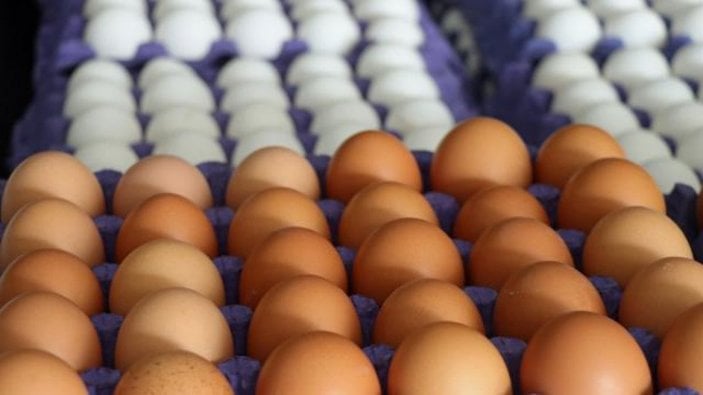 Rekabet Kurumu'ndan yumurta sektörüne soruşturma