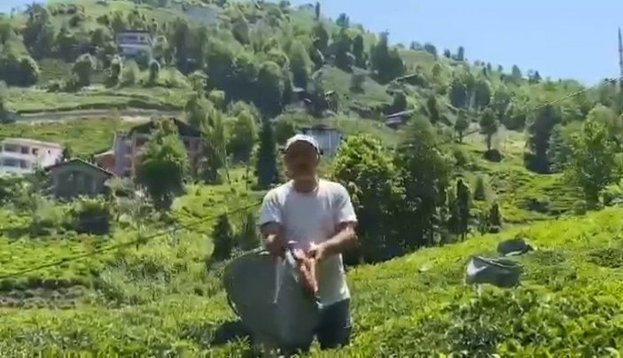 Rizeli çay üreticisi, Selçuk Bayraktar'a seslendi: Bir makine de bize yap