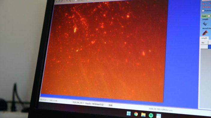 a Poşet çaylardaki gizli tehlike: 13 bin mikroplastik tespit edildi