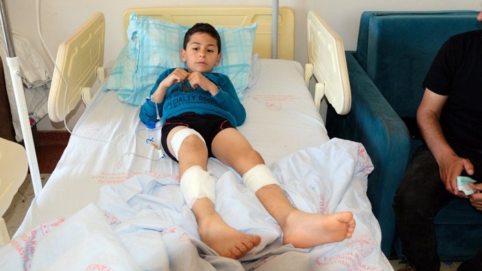 Bingöl'de başıboş köpek dehşeti: 6 yaşındaki çocuğa saldırdılar