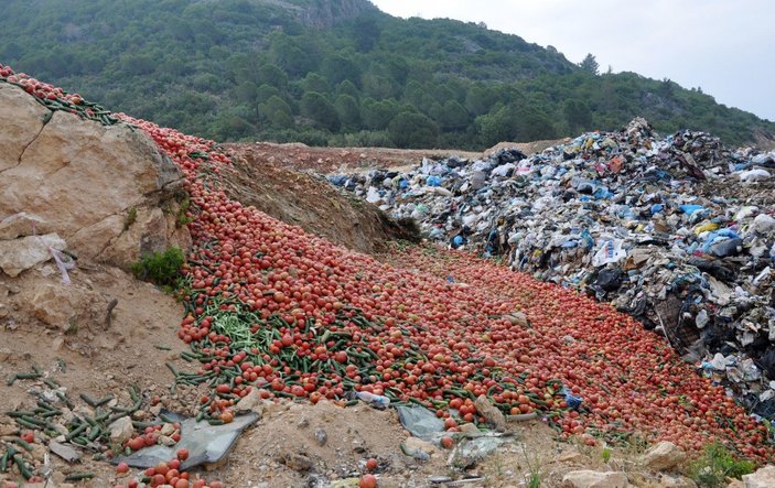 Antalya’da çöpe dökülen sebzelerle ilgili açıklama