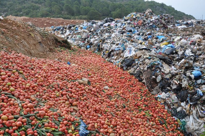 Antalya’da çöpe dökülen sebzelerle ilgili açıklama