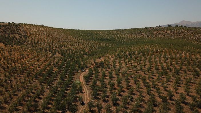 8 ana su havzasında 19 proje başlatıldı