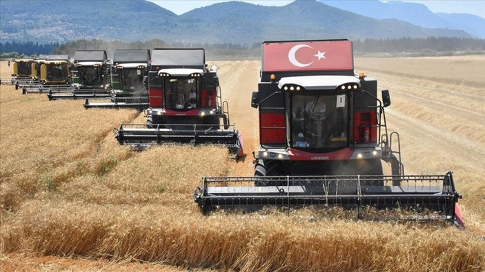 TİGEM