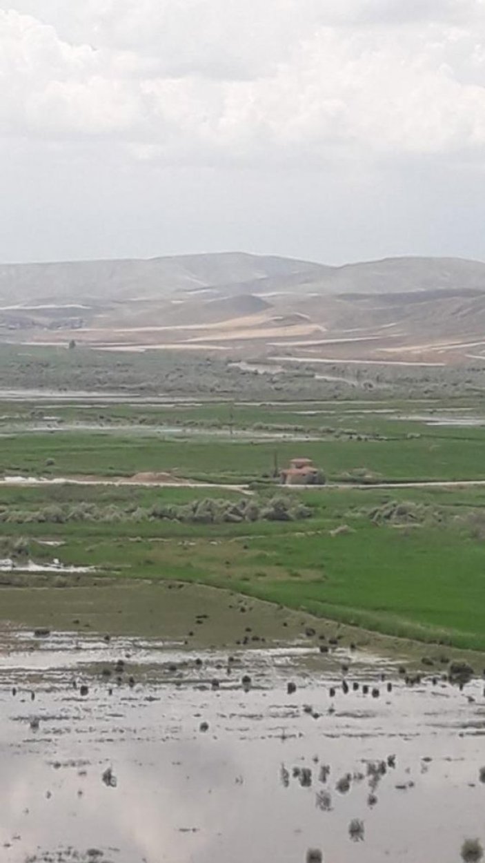 Çorum'da sağanak yağış tarım arazilerini vurdu