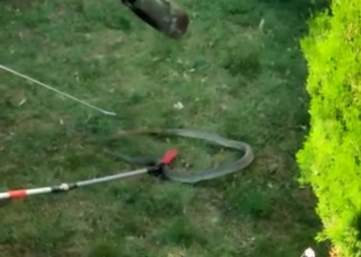 Bursa'da site bahçesinde 1.5 metre boyunda yılan yakalandı