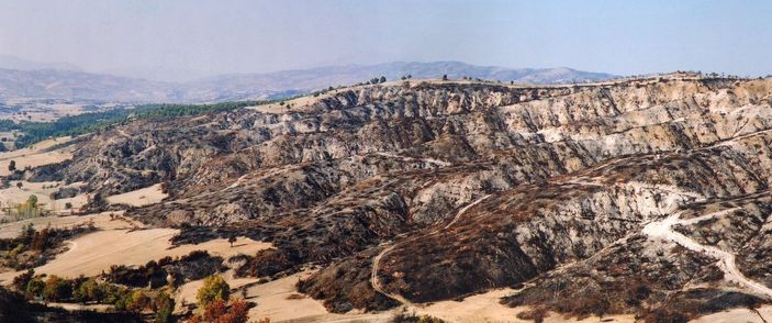 Orman Genel Müdürlüğü paylaştı: Yansa da yine aynı kalır