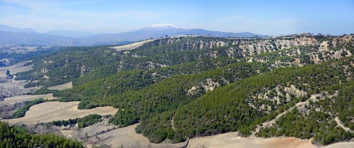 Orman Genel Müdürlüğü paylaştı: Yansa da yine aynı kalır