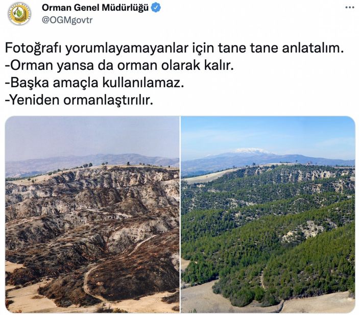 Orman Genel Müdürlüğü paylaştı: Yansa da yine aynı kalır