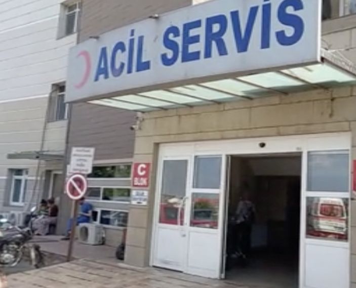 Yunan unsurlarının yaraladığı Afganlı göçmen yaşamını yitirdi