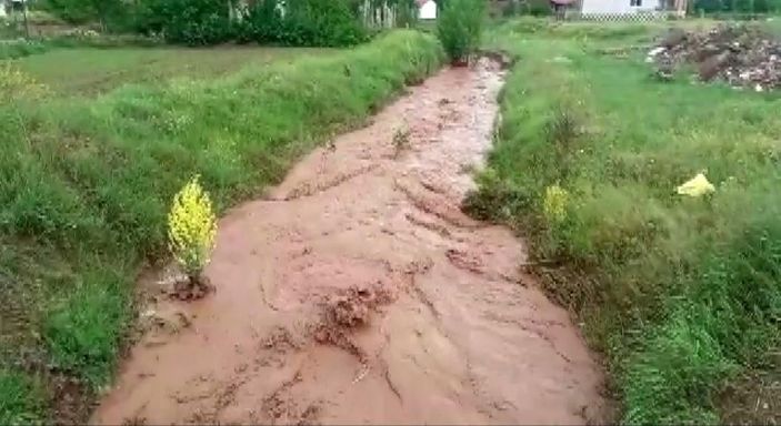 Sivas’ta selin gelişi