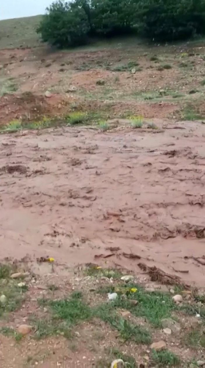 Sivas’ta selin gelişi