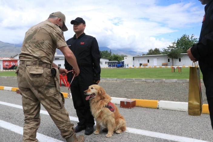 Jandarmanın arama kurtarma köpeği 'Bulut' emekliye ayrıldı