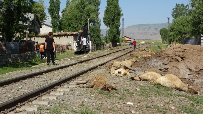 Muş'ta koyunlarını kurtarmak isteyen adam trenin altında kaldı