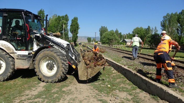 Muş'ta koyunlarını kurtarmak isteyen adam trenin altında kaldı