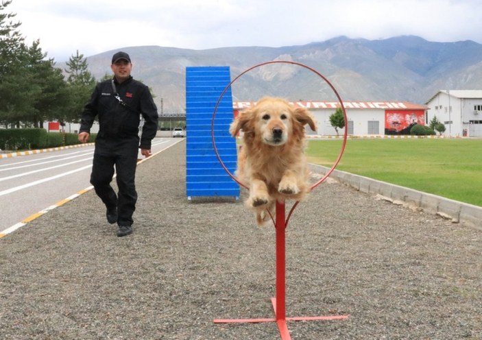 Jandarmanın arama kurtarma köpeği 'Bulut' emekliye ayrıldı