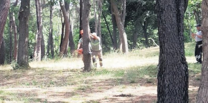 Emirgan Korusu'ndaki ağaç katliamına para cezası verildi