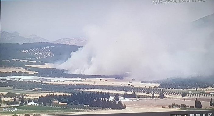 Foça'da çıkan orman yangınına müdahale