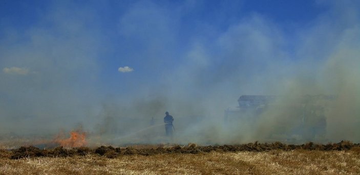 Küresel gıda krizi alarm verirken, Türkiye'de buğday tarlaları yanıyor