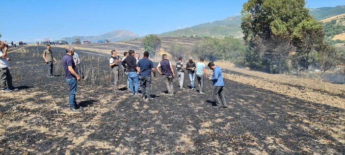 Küresel gıda krizi alarm verirken, Türkiye'de buğday tarlaları yanıyor