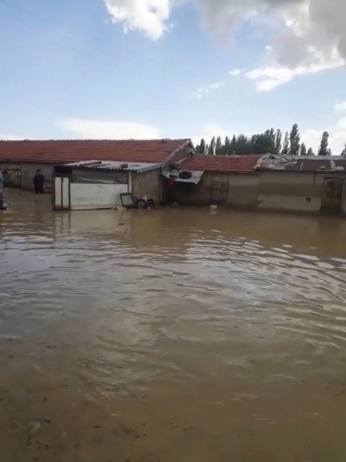 Ankara sel meydana geldi, hayvanlar telef oldu