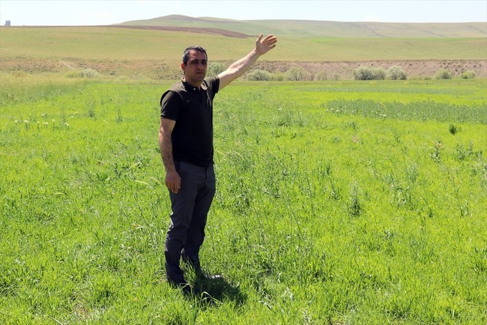 Artvinli Taner öğretmen, Ağrı'da ekilmeyen iki araziyi tarıma kazandırdı
