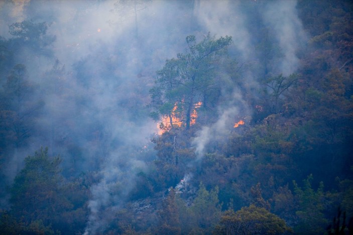 Marmaris’in en genç ormanı yanıyor