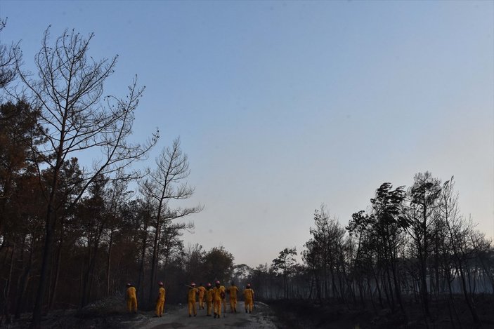 Meral Akşener'den 'orman yangınlarına uçak yok' provokasyonu