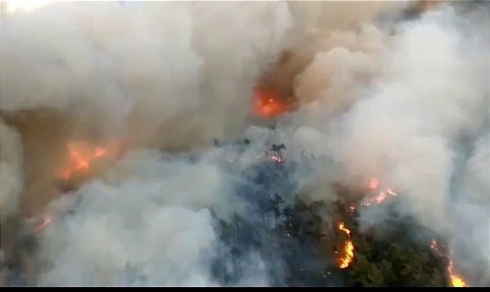 Fahrettin Altun'dan Marmaris yangını hakkında açıklama
