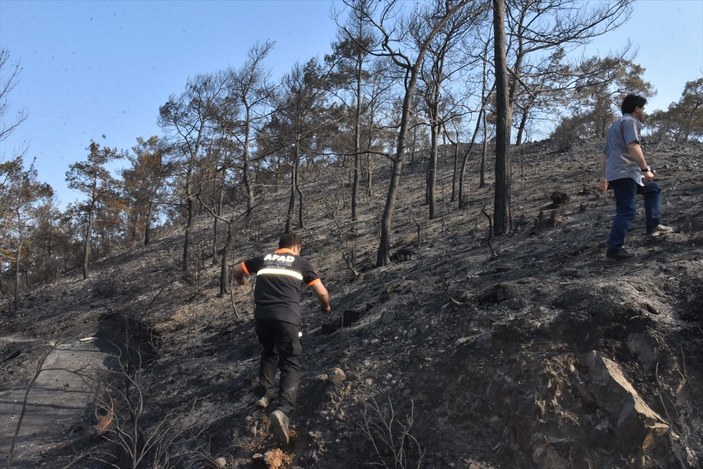 Fahrettin Koca'dan Marmaris yangını açıklaması
