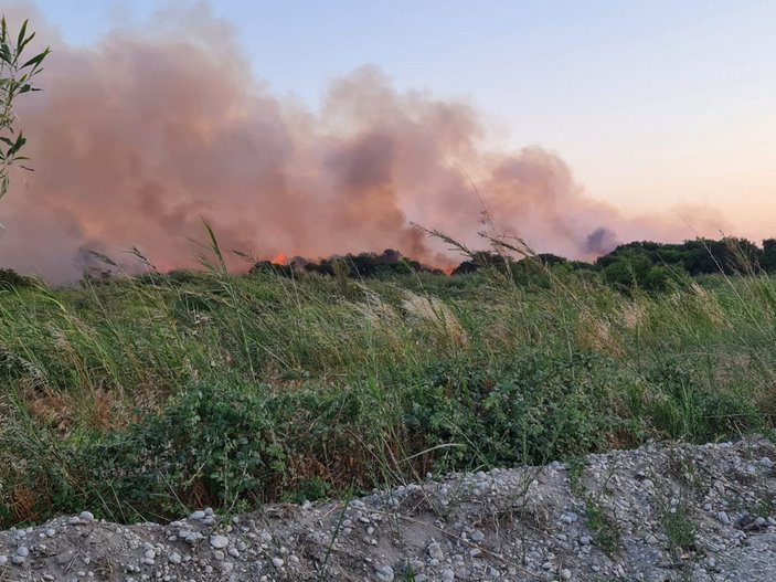 Antalya'da, 2 farklı noktada çıkan yangın söndürüldü