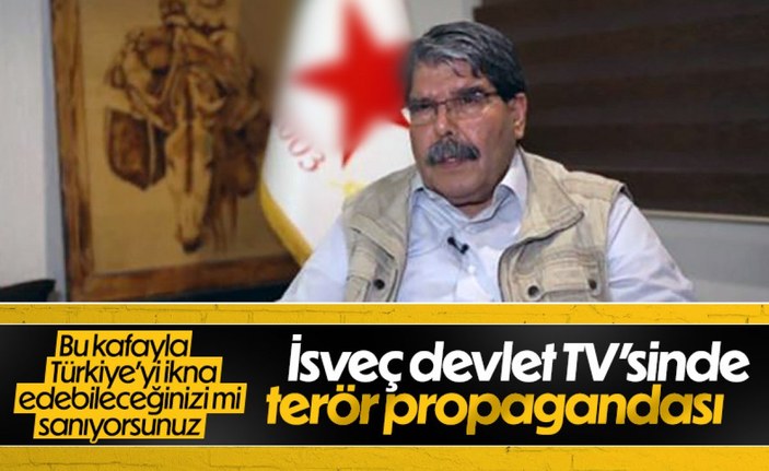 İsveç devlet televizyonu, terörist 'Mazlum Kobani' ile röportaj yaptı