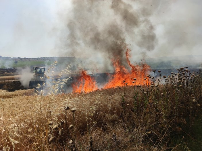 Dünya gıda kriziyle boğuşurken, Türkiye'de buğday tarlaları yanıyor