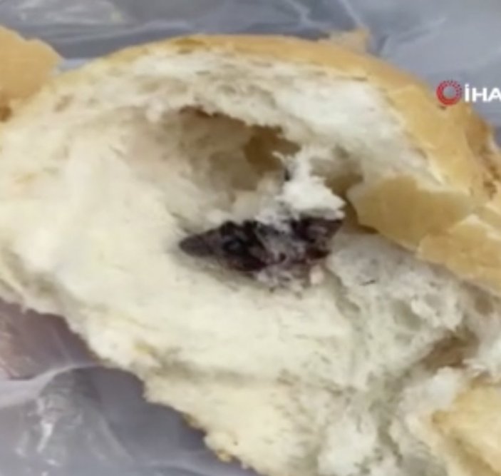 Antalya'da ekmeğin içinden fare çıktı