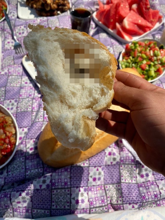 Antalya'da ekmeğin içinden fare çıktı