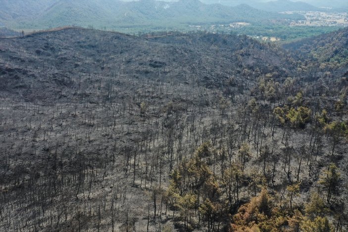 Marmaris yangınıyla küle dönen orman alanları