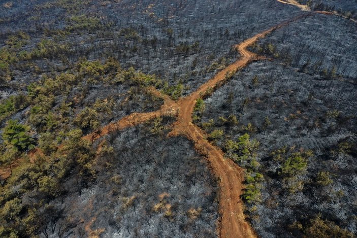 Marmaris yangınıyla küle dönen orman alanları