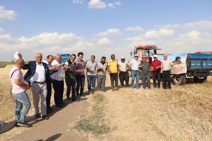 Garzan Ovası'nda buğday hasadı başladı