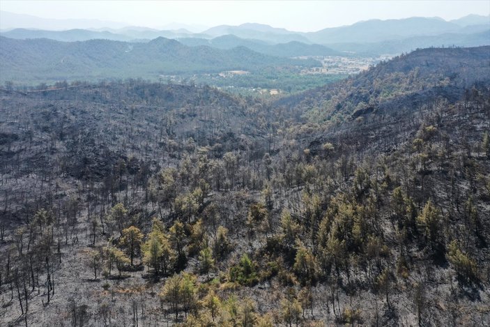 Marmaris yangınının bilançosu: Yeşilden eser kalmadı