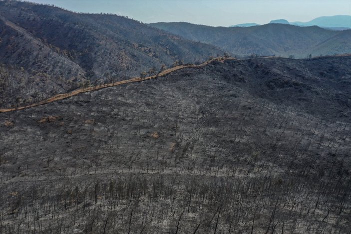 Marmaris yangınının bilançosu: Yeşilden eser kalmadı