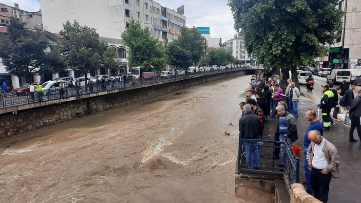 Kastamonu'da yüzlerce kişi kedi kurtarma operasyonunu izledi