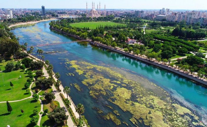 Adana'da kötü manzara: Seyhan Nehri'ni yosun sardı