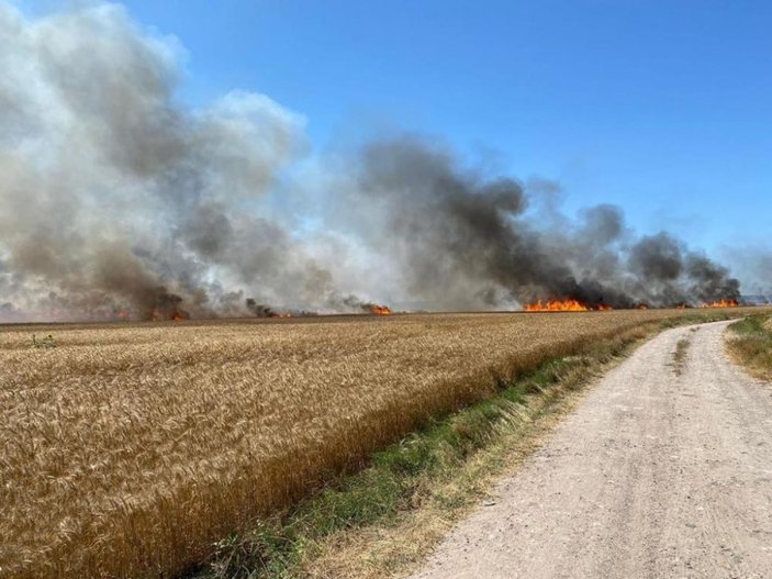 İstanbul-Tekirdağ sınırında 500 dönümlük buğday yandı