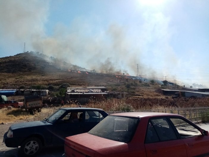 İzmir’de Bergama ve Dikili’de yangın
