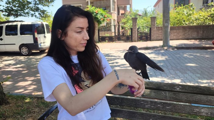 Sakarya'da kargasına gözü gibi bakıyor