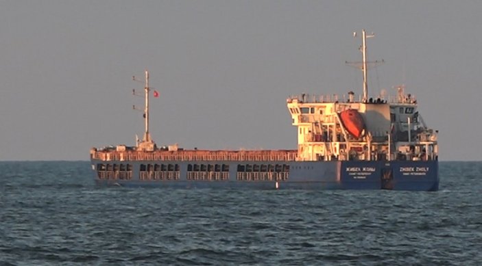 Rus tahıl gemisi Sakarya’da