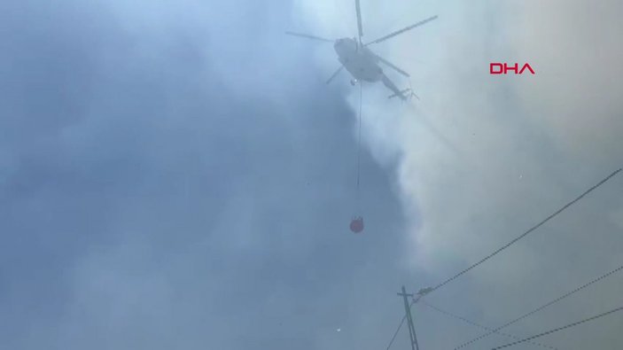 Beykoz'da çıkan orman yangını kontrol altına alındı