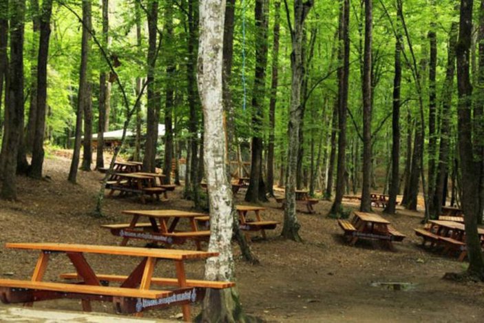 İstanbul'da piknik yapmak yasak mı? Mangal yasaklandı mı?
