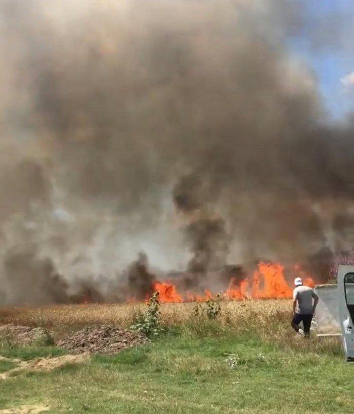Tekirdağ'da buğday tarlası yandı, 50 dönüm alan kül oldu
