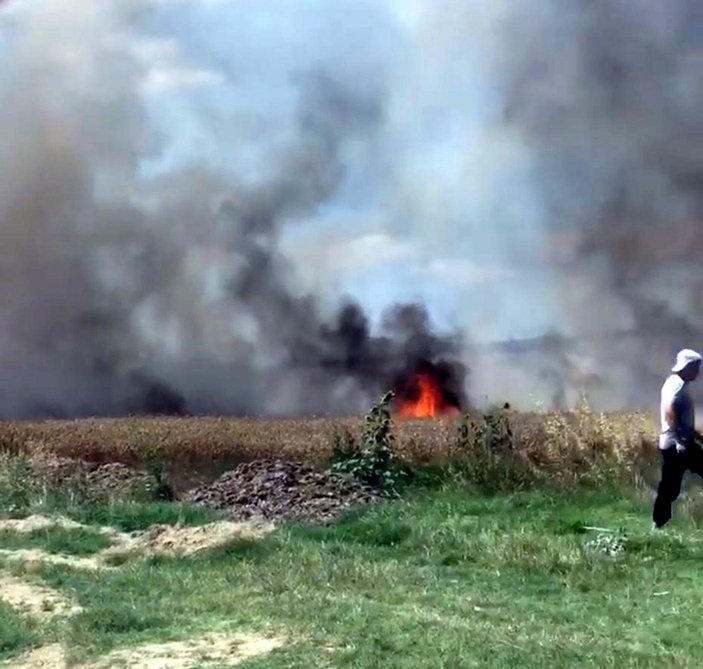 Tekirdağ'da buğday tarlası yandı, 50 dönüm alan kül oldu